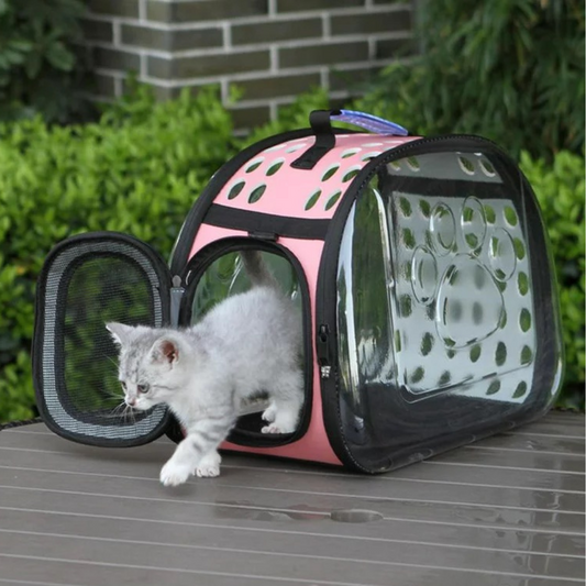 Transparent Pet Carrier Bag Capsule